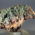 Conichalcite Mineral Specimen (Mexican)  ~62mm