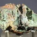 Conichalcite Mineral Specimen (Mexican)  ~65mm