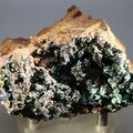 Conichalcite Mineral Specimen (Mexican)  ~73mm