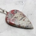 Crazy Lace Agate Gemstone Pendant ~45mm