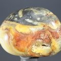 Crazy Lace Agate Tumblestone ~30mm