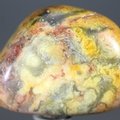 Crazy Lace Agate Tumblestone ~31mm