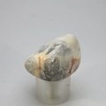 Crazy Lace Agate Tumblestone ~32mm