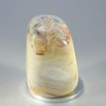 Crazy Lace Agate Tumblestone ~32mm