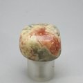 Crazy Lace Agate Tumblestone ~32mm