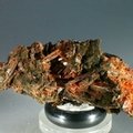 Crocoite Mineral Specimen ~54mm