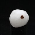 Cryolite Tumblestone ~25mm