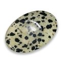 Dalmatian Jasper Thumb Stone ~40mm