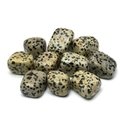 Dalmation Jasper Tumble Stone (20-25mm)