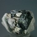 Dark Green Tourmaline in Quartz ~40mm