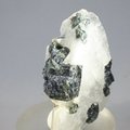 Dark Green Tourmaline in Quartz ~40mm