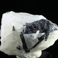 Dark Green Tourmaline in Quartz ~56mm