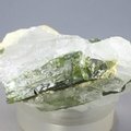 Dark Green Tourmaline in Quartz ~56mm