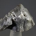 Darwin Glass Healing Crystal ~27mm