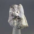 Darwin Glass Healing Crystal ~28mm