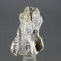 Darwin Glass Healing Crystal ~30mm