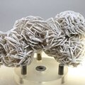 Desert Rose ~10cm