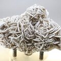 Desert Rose ~9cm