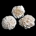 Desert Rose Specimen - Medium