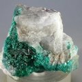 Dioptase Mineral Specimen ~45mm