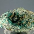 Dioptase Mineral Specimen ~52mm
