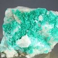 Dioptase Mineral Specimen ~55mm