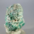 Dioptase Mineral Specimen ~55mm