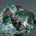 Dioptase Mineral Specimen ~57mm