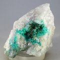 Dioptase Mineral Specimen ~57mm
