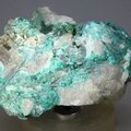 Dioptase Mineral Specimen ~57mm