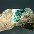 Dioptase Mineral Specimen ~59mm