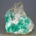 Dioptase Mineral Specimen ~60mm