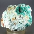 Dioptase Mineral Specimen ~63mm