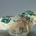 Dioptase Mineral Specimen ~63mm