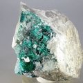 STRIKING Dioptase Mineral Specimen ~64mm