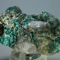 Dioptase Mineral Specimen ~65mm