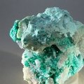 Dioptase Mineral Specimen ~65mm