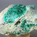 Dioptase Mineral Specimen ~70mm