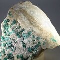 Dioptase Mineral Specimen ~70mm