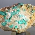 Dioptase Mineral Specimen ~90mm