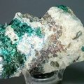 Dioptase Mineral Specimen ~97mm