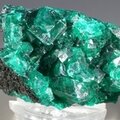 Dioptase Mineral Specimen (DRC) ~35mm