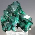 Dioptase Mineral Specimen (DRC) ~35mm