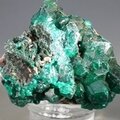 Dioptase Mineral Specimen (DRC) ~44mm