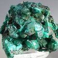 Dioptase Mineral Specimen (DRC) ~45mm