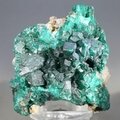 Dioptase Mineral Specimen (DRC) ~48mm