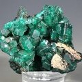 Dioptase Mineral Specimen (DRC) ~48mm