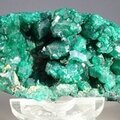 Dioptase Mineral Specimen (DRC) ~58mm