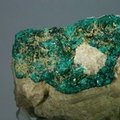 Dioptase Mineral Specimen ~51mm