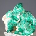 Dioptase Mineral Specimen (Tsumeb) ~35mm